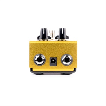 Citadel Electronics Bus Driver  (シタデル・エレクトロニクス) コンプ 画像5