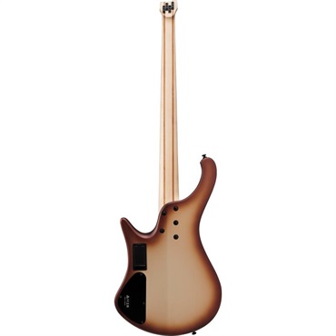 Ibanez EHB600-CCM [SPOT MODEL] 画像1