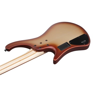 Ibanez EHB600-CCM [SPOT MODEL] 画像3