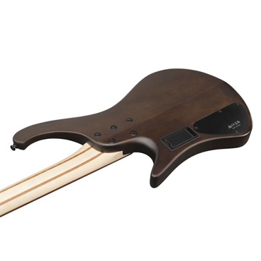 Ibanez EHB600-WNF [SPOT MODEL] 画像3