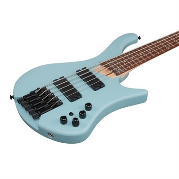 Ibanez EHB605-PRM [SPOT MODEL] 画像2