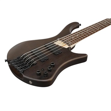 Ibanez EHB605-WNF [SPOT MODEL] 画像2