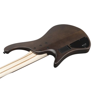 Ibanez EHB605-WNF [SPOT MODEL] 画像3