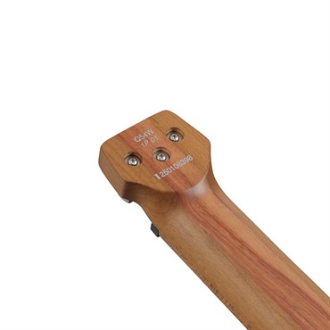 Ibanez Q54WR-CNL (Charcoal Brown Low Gloss) [SPOT MODEL] 画像5