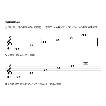 YAMAHA ヤマハ / Trova YTL-110 【カジュアル管楽器 / プレトランペット】 画像7