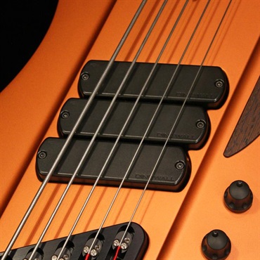 DINGWALL USED 中古 D-Roc Custom 5 (Satin Blaze) 画像2