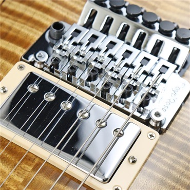 Gibson USED 中古 Les Paul Axcess Standard Floyd Rose[SN.CS404347]ギブソン 画像7