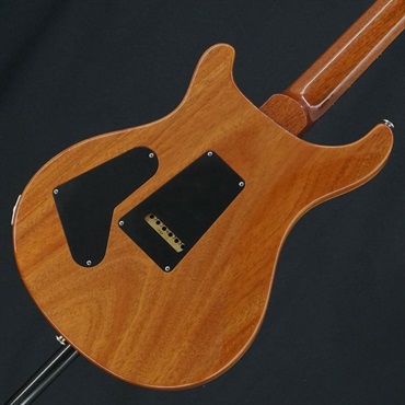 P.R.S. 【イケシブ中古祭り出展品】 USED 中古 2015 Wood Library Custom 24 (Amethyst)[SN.15 217228] Paul Reed Smith ポールリードスミス 画像1