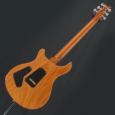 P.R.S. 【イケシブ中古祭り出展品】 USED 中古 2015 Wood Library Custom 24 (Amethyst)[SN.15 217228] Paul Reed Smith ポールリードスミス 画像3