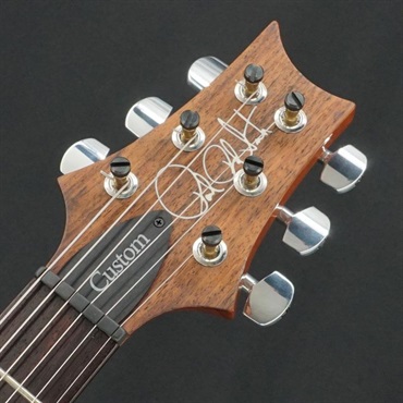 P.R.S. 【イケシブ中古祭り出展品】 USED 中古 2015 Wood Library Custom 24 (Amethyst)[SN.15 217228] Paul Reed Smith ポールリードスミス 画像6