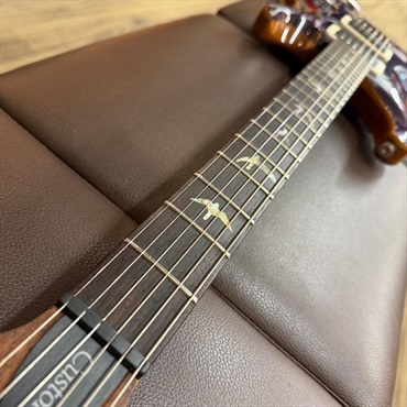 P.R.S. 【イケシブ中古祭り出展品】 USED 中古 2015 Wood Library Custom 24 (Amethyst)[SN.15 217228] Paul Reed Smith ポールリードスミス 画像9