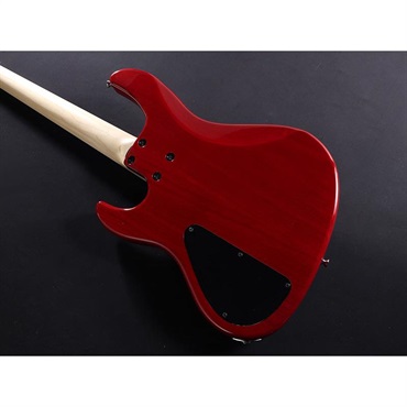 ATELIER Z Beta 4 Custom (TP-RED/M/MH/CHROME PARTS) 画像10