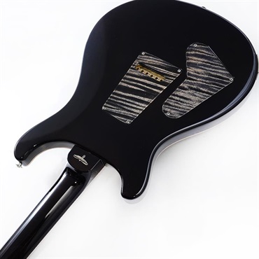 P.R.S. Private Stock #10969 Custom 24  Brazilian Rosewood Fingerboard (Charcoal) 画像6