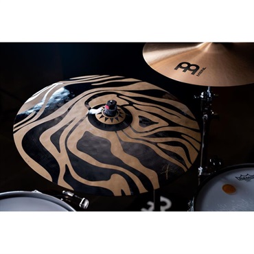 MEINL Artist Design Cymbals 22 [Anika Nilles 「OCEAN TIDES」/AD2] No.54 画像5