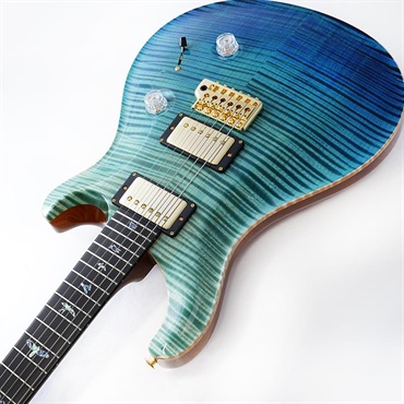 P.R.S. Private Stock #12099  Custom 24 (Blue Steel Fade) 画像5