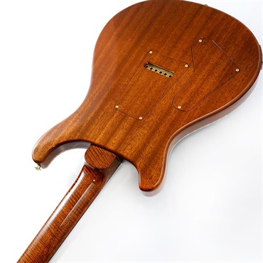 P.R.S. Private Stock #12099  Custom 24 (Blue Steel Fade) 画像6