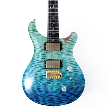 P.R.S. Private Stock #12099  Custom 24 (Blue Steel Fade) 画像10