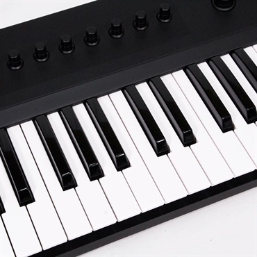 Native Instruments USED 中古 Komplete Kontrol A49 (ネイティブインスツルメント)(USB・MIDIコントローラー) 画像2
