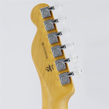 Fender USA 75th Anniversary American Professional Classic Cabronita Telecaster (Ice Blue Metallic/Maple) 画像9