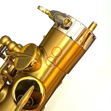 Selmer Paris 【アウトレット特価】アルトサックス セルマー Signature シグネチャー BRUSHED GL(ブラッシュド ゴールドラッカー) 【調整&セットアップ後出荷】【5年間キーバランス調整無料】 画像2
