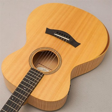 TAYLOR USED 中古 PROTO A12e テイラー 画像4