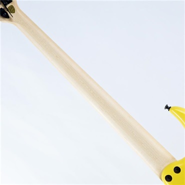 DINGWALL Lee Sklar Signature LSS5-FY with Rupert Neve Onboard Preamp [2026 NAMM Model] 画像6