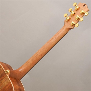 MATON EBG808 Artist メイトン 画像9