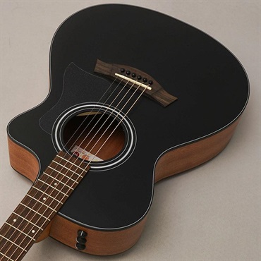 TAYLOR Japan LTD 112ce Blacktop テイラー 画像4