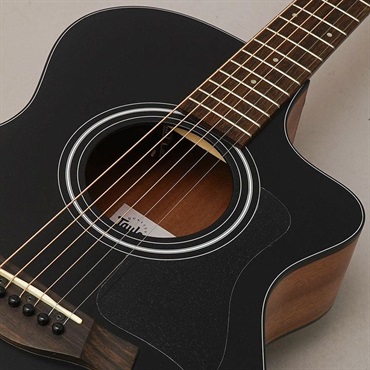 TAYLOR Japan LTD 112ce Blacktop テイラー 画像6