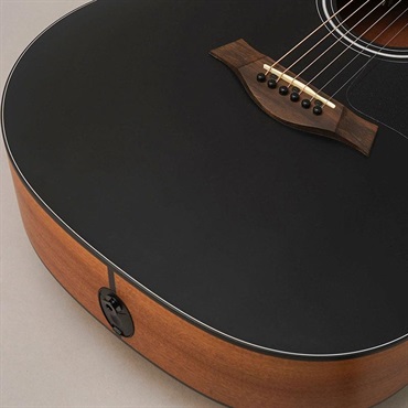 TAYLOR Japan LTD 117ce Blacktop テイラー 画像7
