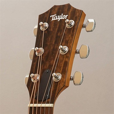 TAYLOR Japan LTD 117ce Blacktop テイラー 画像9