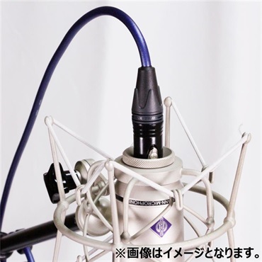 Noah’sark 【決算売り尽くしセール】PASSGO BLUE TS PHONE Cable (3.0m)(パスゴーブルー)(ラインケーブル/ギターケーブル/楽器用ケーブル)(Phone-Phone)(6.3(2極)-6.3(2極)， ｽﾄﾚｰﾄ-ｽﾄﾚｰﾄ)(日本製) 画像5