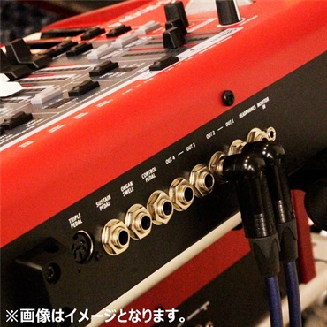 Noah’sark 【決算売り尽くしセール】PASSGO BLUE TS PHONE Cable (3.0m)(パスゴーブルー)(ラインケーブル/ギターケーブル/楽器用ケーブル)(Phone-Phone)(6.3(2極)-6.3(2極)， ｽﾄﾚｰﾄ-ｽﾄﾚｰﾄ)(日本製) 画像8