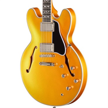 Epiphone Futura ES-355 (Firestorm Shift) 画像4