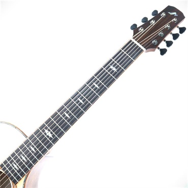MORRIS SJS-256 モーリス【7弦カスタムモデル】 画像3