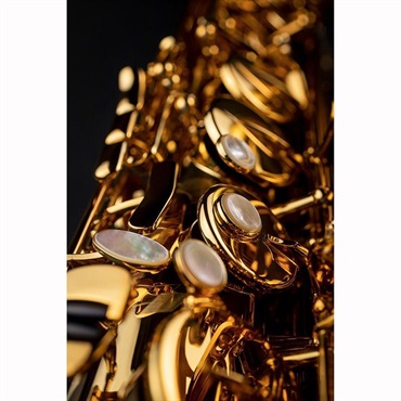 Selmer Paris 【神保佳祐氏選定品】テナーサックス セルマー Signature シグネチャー DARK SL(ダークシグネチャーラッカー) 【調整&セットアップ後出荷】【5年間キーバランス調整無料】【5年間キーバランス調整無料】 画像8