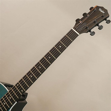 TAYLOR 【夏先取り大特価セール】 214ce Plus Special Edition (Trans Blue) テイラー 画像7
