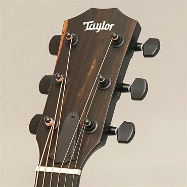 TAYLOR 【夏先取り大特価セール】 214ce Plus Special Edition (Trans Blue) テイラー 画像9
