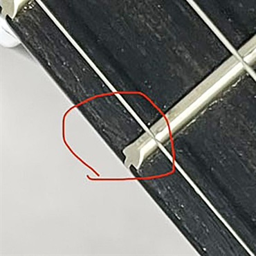 TAYLOR 【夏先取り大特価セール】 214ce Plus Special Edition (Trans Blue) テイラー 画像10