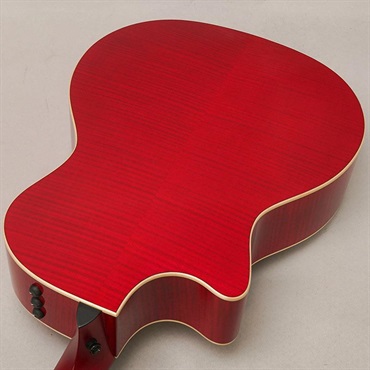 TAYLOR 【特価】 Custom GAce Premium Sitka/AA Flame Maple Ruby Red テイラー 画像5