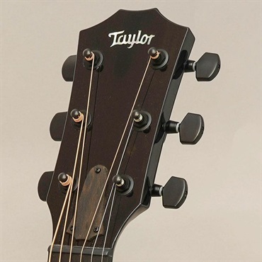 TAYLOR 【夏先取り大特価セール】 Custom GCce All Shamel Ash Dark Turquoise Metallic テイラー 画像10