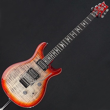 P.R.S. USED 中古 SE Custom 24  Floyd (Charcoal Cherry Burst)[SN.G069528] Paul Reed Smith ポールリードスミス 画像2