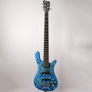 Warwick Pro Series Streamer LX 5st Birdseye Poplar Top (Bleached Blue TP HP) [Ikebe 50th Anniversary Special Edition] #013994 画像1