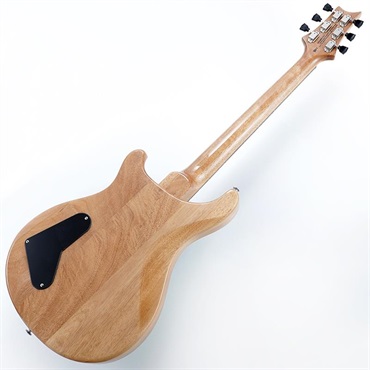 P.R.S. USED 中古 SE Paul's Guitar (Turquoise) SN.CTIG067026 画像2