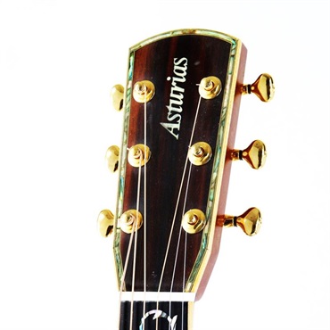ASTURIAS USED 中古 CONCERT TREE OF LIFE アストリアス 画像3