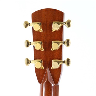 ASTURIAS USED 中古 CONCERT TREE OF LIFE アストリアス 画像6
