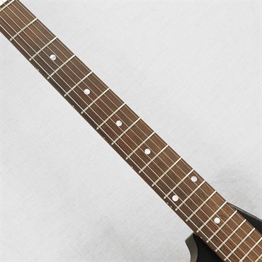 Airline VINTAGE JB Hutto Jetsons Wood Model '64 Sunburst 画像8
