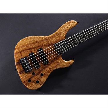 Sadowsky Guitars Limited Edition 2025 MasterBuilt 24-Fret Modern Bass 5st Fretless (AAAAA Koa Top) #025 画像2