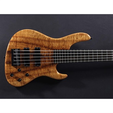 Sadowsky Guitars Limited Edition 2025 MasterBuilt 24-Fret Modern Bass 5st Fretless (AAAAA Koa Top) #025 画像5