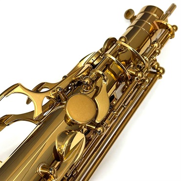 Selmer Paris USED 中古 セルマー アルトサックス SERIE III Jubilee GL S/N:734xx8 【調整&セットアップ後出荷】【5年間キーバランス調整無料】 画像9
